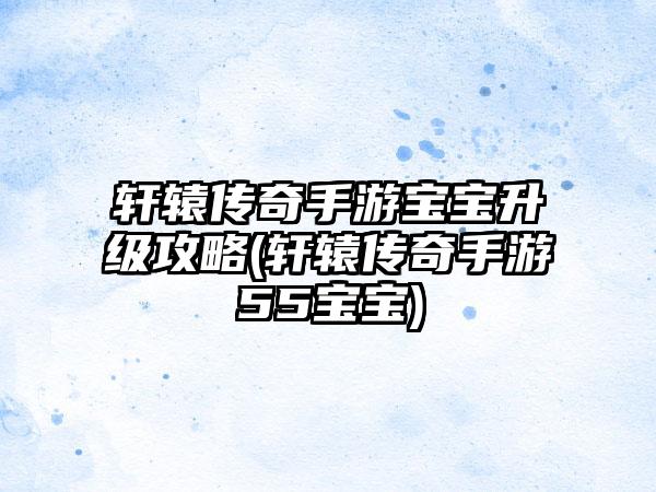 轩辕传奇手游宝宝升级攻略(轩辕传奇手游55宝宝)