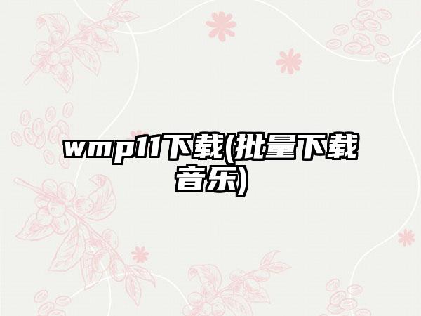 wmp11下载(批量下载音乐)