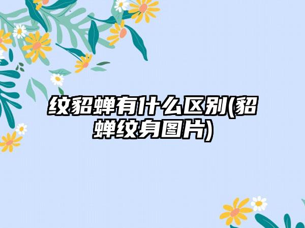 纹貂蝉有什么区别(貂蝉纹身图片)