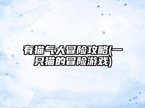 有猫气大冒险攻略(一只猫的冒险游戏)