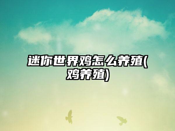 迷你世界鸡怎么养殖(鸡养殖)