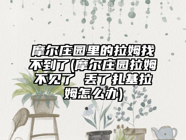 摩尔庄园里的拉姆找不到了(摩尔庄园拉姆不见了 丢了扎基拉姆怎么办)