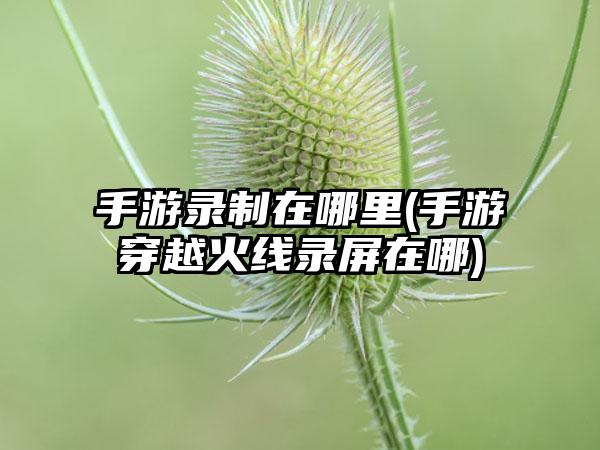 手游录制在哪里(手游穿越火线录屏在哪)