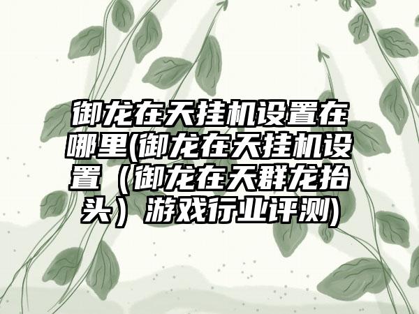 御龙在天挂机设置在哪里(御龙在天挂机设置（御龙在天群龙抬头）游戏行业评测)