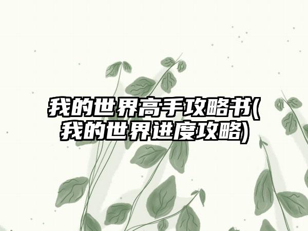 我的世界高手攻略书(我的世界进度攻略)