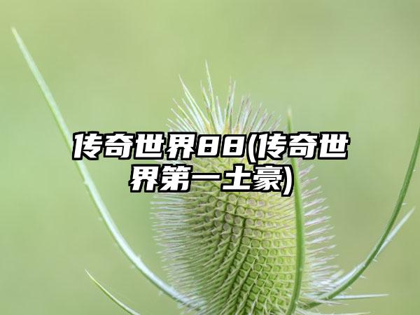 传奇世界88(传奇世界第一土豪)