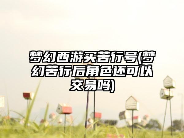 梦幻西游买苦行号(梦幻苦行后角色还可以交易吗)