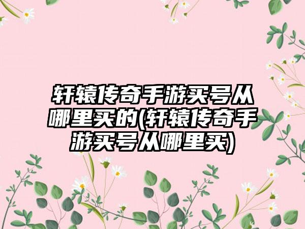 轩辕传奇手游买号从哪里买的(轩辕传奇手游买号从哪里买)