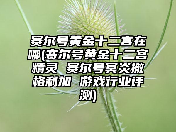 赛尔号黄金十二宫在哪(赛尔号黄金十二宫精灵 赛尔号冥炎撒格利加 游戏行业评测)