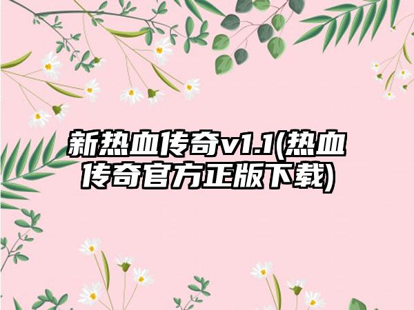 新热血传奇v1.1(热血传奇官方正版下载)