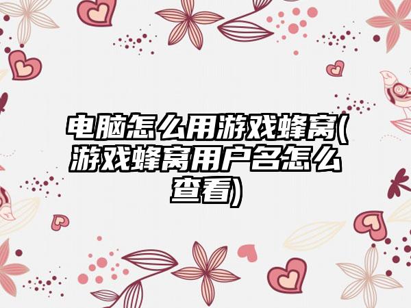 电脑怎么用游戏蜂窝(游戏蜂窝用户名怎么查看)