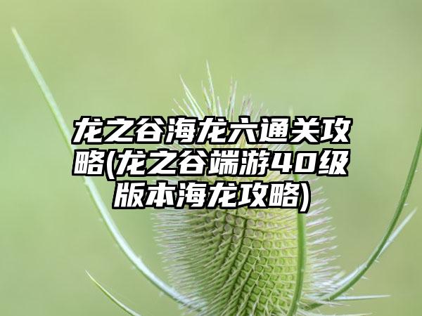 龙之谷海龙六通关攻略(龙之谷端游40级版本海龙攻略)