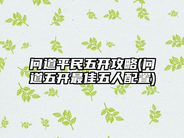 问道平民五开攻略(问道五开最佳五人配置)