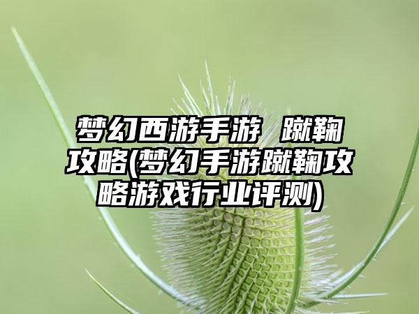 梦幻西游手游 蹴鞠攻略(梦幻手游蹴鞠攻略游戏行业评测)