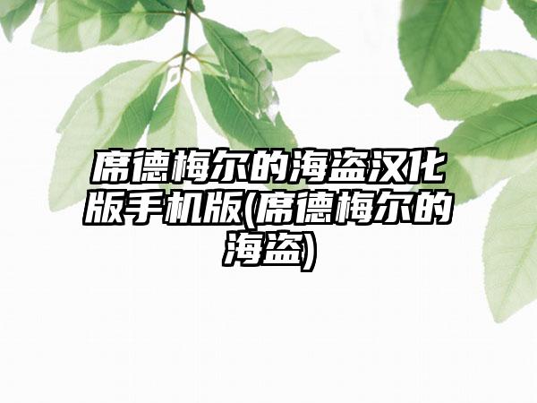 席德梅尔的海盗汉化版手机版(席德梅尔的海盗)