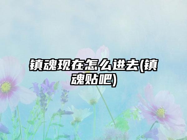 镇魂现在怎么进去(镇魂贴吧)