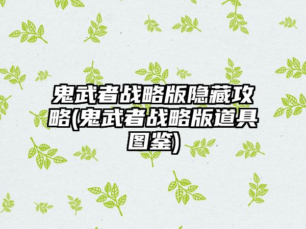 鬼武者战略版隐藏攻略(鬼武者战略版道具图鉴)