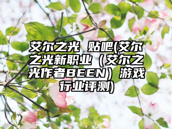 艾尔之光 贴吧(艾尔之光新职业（艾尔之光作者BEEN）游戏行业评测)
