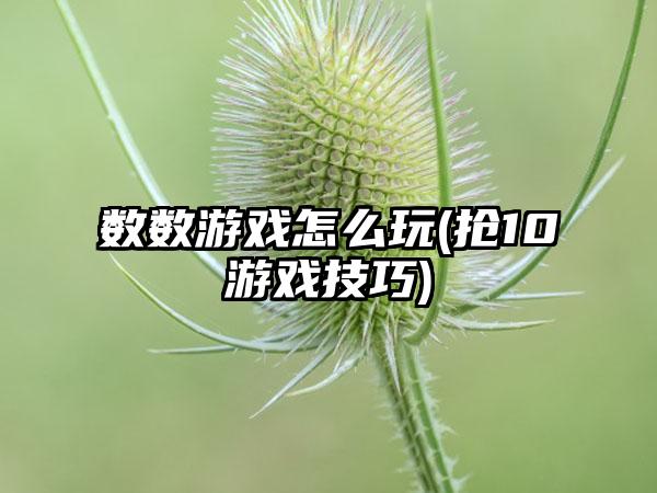 数数游戏怎么玩(抢10游戏技巧)