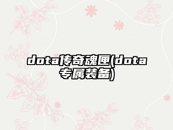 dota传奇魂匣(dota专属装备)