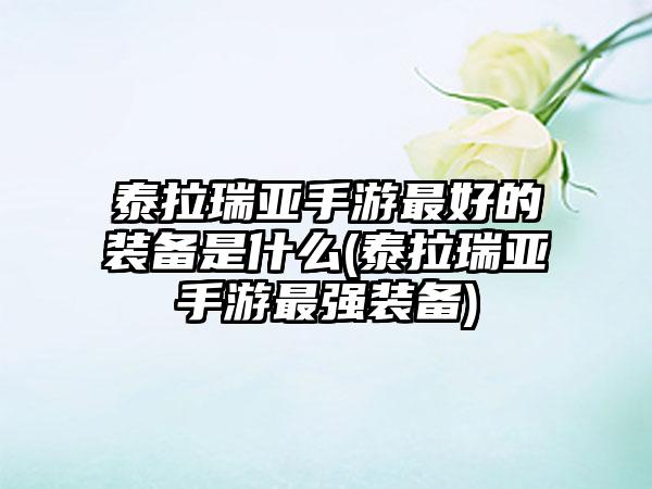 泰拉瑞亚手游最好的装备是什么(泰拉瑞亚手游最强装备)