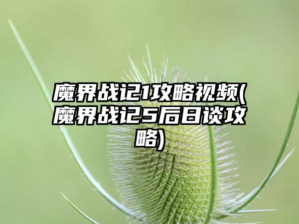 魔界战记1攻略视频(魔界战记5后日谈攻略)