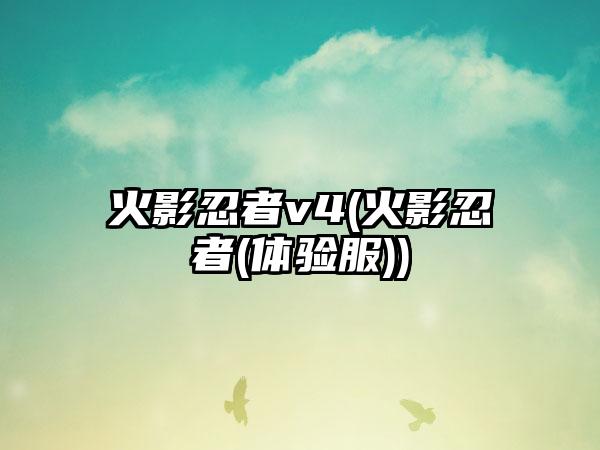 火影忍者v4(火影忍者(体验服))