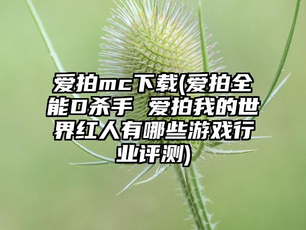爱拍mc下载(爱拍全能D杀手 爱拍我的世界红人有哪些游戏行业评测)