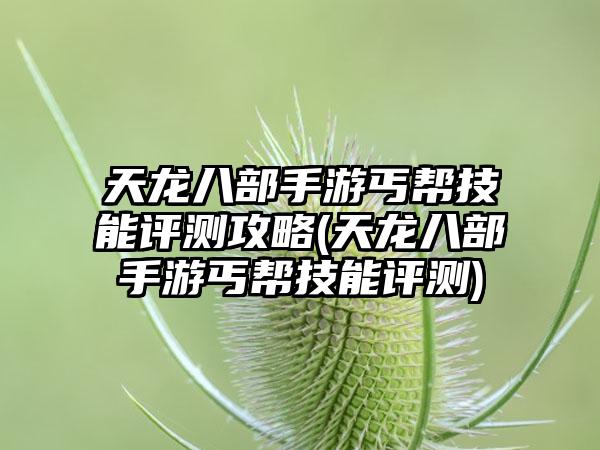 天龙八部手游丐帮技能评测攻略(天龙八部手游丐帮技能评测)