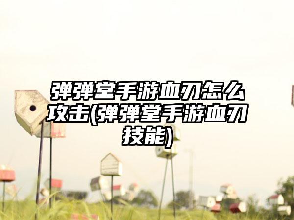 弹弹堂手游血刃怎么攻击(弹弹堂手游血刃技能)