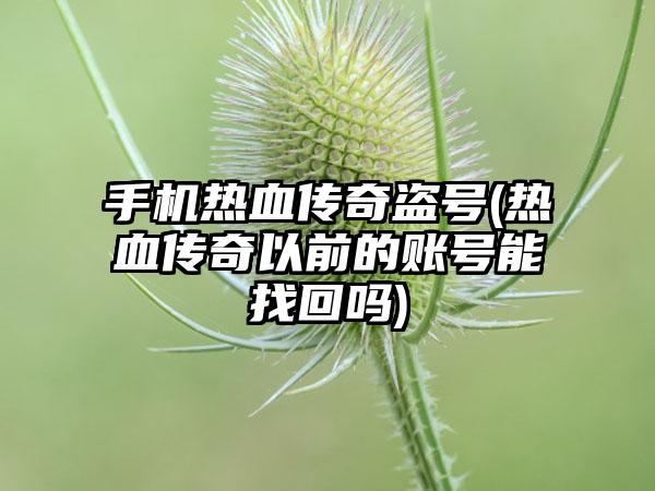 手机热血传奇盗号(热血传奇以前的账号能找回吗)