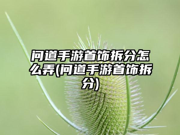 问道手游首饰拆分怎么弄(问道手游首饰拆分)