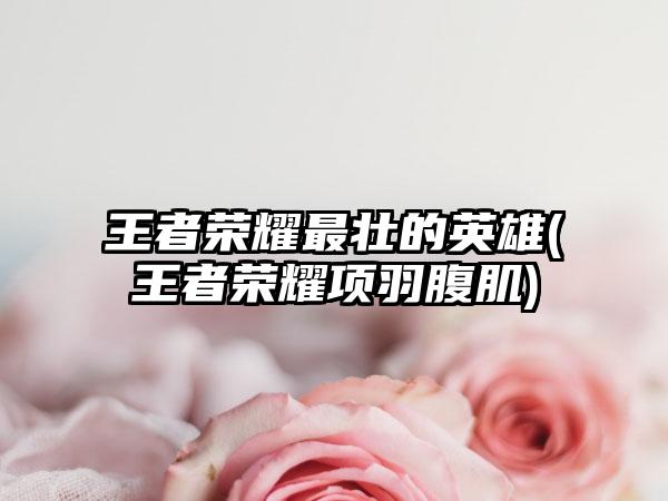 王者荣耀最壮的英雄(王者荣耀项羽腹肌)