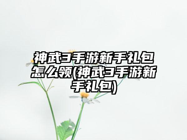 神武3手游新手礼包怎么领(神武3手游新手礼包)