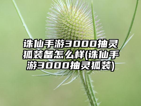 诛仙手游3000抽灵狐装备怎么样(诛仙手游3000抽灵狐装)