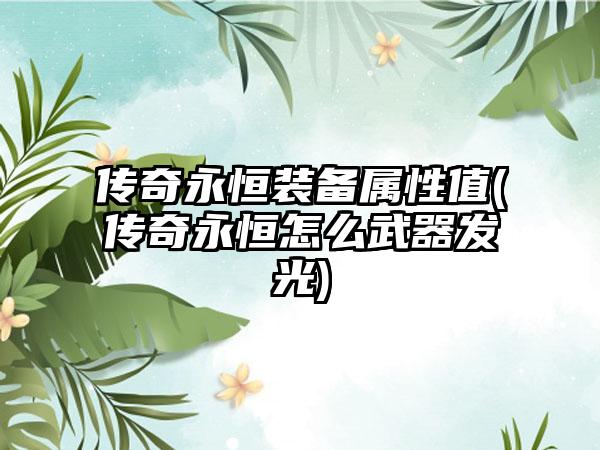 传奇永恒装备属性值(传奇永恒怎么武器发光)