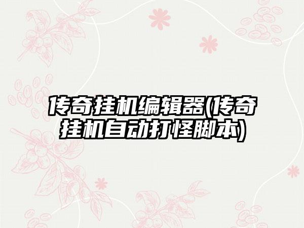 传奇挂机编辑器(传奇挂机自动打怪脚本)