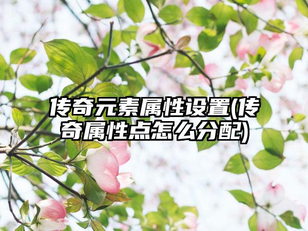 传奇元素属性设置(传奇属性点怎么分配)