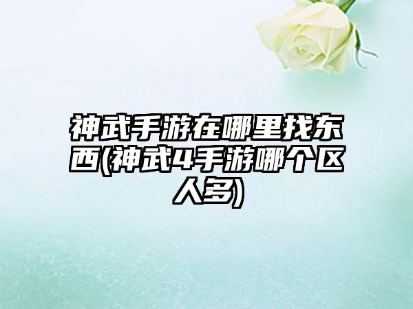 神武手游在哪里找东西(神武4手游哪个区人多)