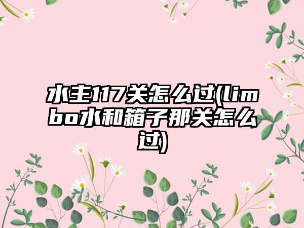 水主117关怎么过(limbo水和箱子那关怎么过)
