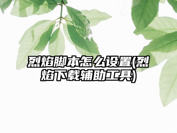 烈焰脚本怎么设置(烈焰下载辅助工具)