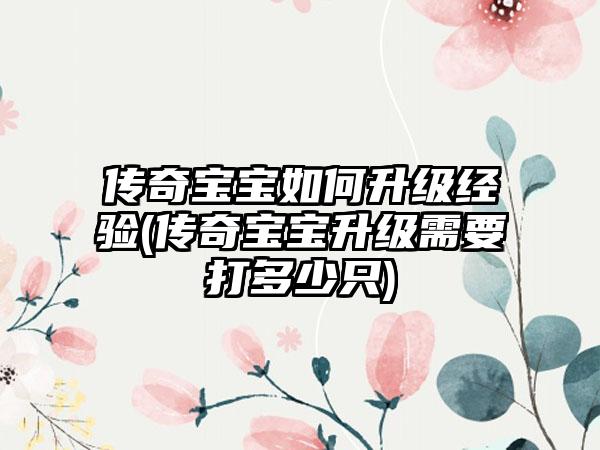 传奇宝宝如何升级经验(传奇宝宝升级需要打多少只)