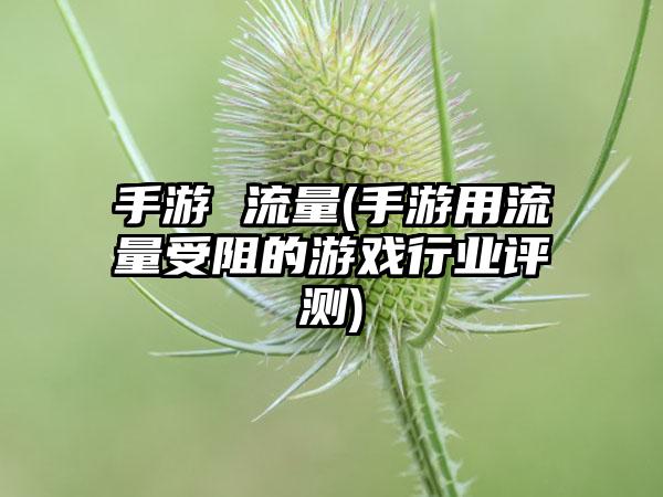 手游 流量(手游用流量受阻的游戏行业评测)