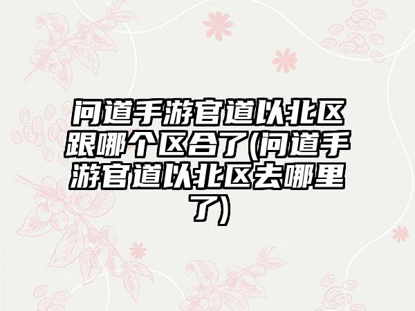 问道手游官道以北区跟哪个区合了(问道手游官道以北区去哪里了)
