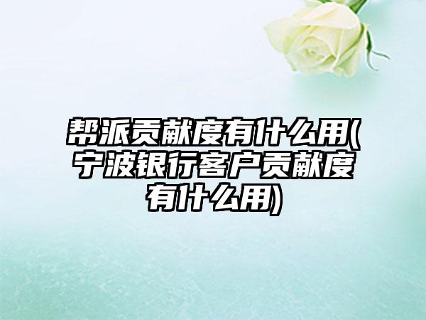 帮派贡献度有什么用(宁波银行客户贡献度有什么用)