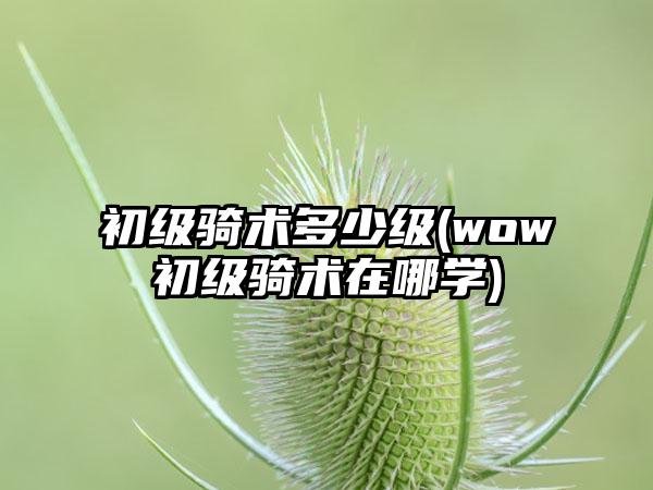 初级骑术多少级(wow初级骑术在哪学)