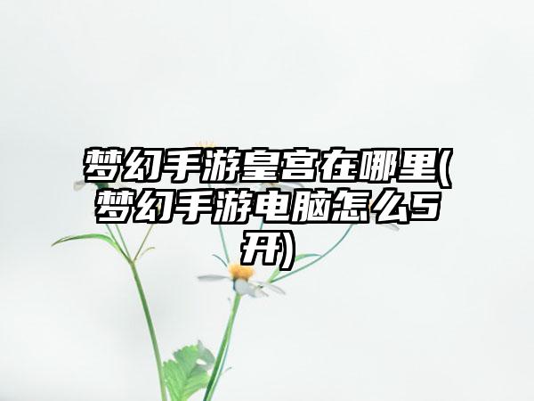 梦幻手游皇宫在哪里(梦幻手游电脑怎么5开)