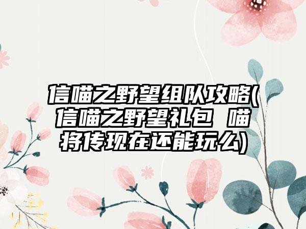 信喵之野望组队攻略(信喵之野望礼包 喵将传现在还能玩么)