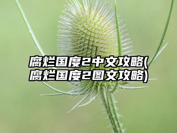 腐烂国度2中文攻略(腐烂国度2图文攻略)
