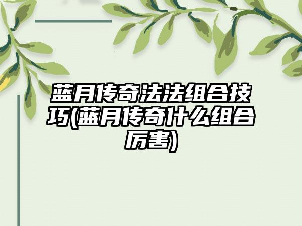 蓝月传奇法法组合技巧(蓝月传奇什么组合厉害)